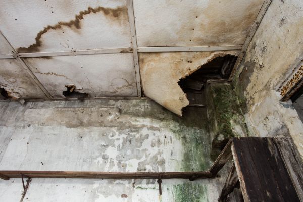 Water Damage Service in Casa Grande