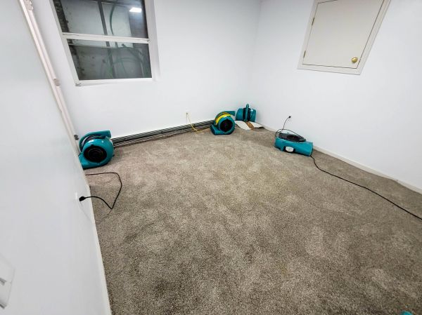 Flood Restoration Service in Casa Grande
