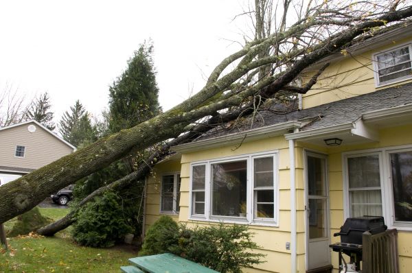 Hurricane Damage Repair in Casa Grande